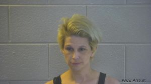 Megan Johnson Arrest Mugshot