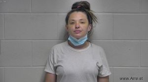 Megan Mandlehr Arrest