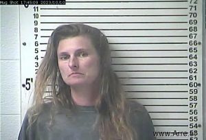 Megan Miller Arrest