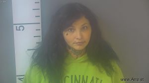 Megan Stein  Arrest Mugshot