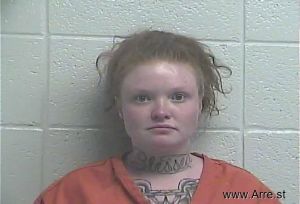 Megan Willis Arrest Mugshot