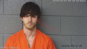 Michael Hamlin Arrest Mugshot