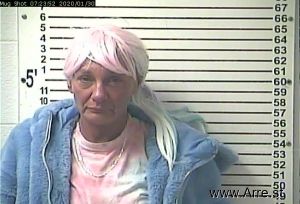 Michelle Chapman Priddy Arrest Mugshot