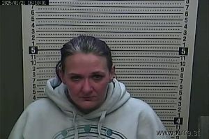 Michelle Harp Arrest Mugshot