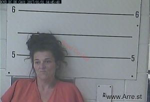 Misty Romine Arrest Mugshot