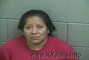 Marlene Nolasco  Arrest Mugshot