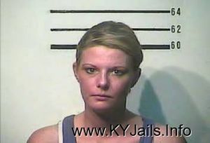 Mary Ann Saylor  Arrest Mugshot