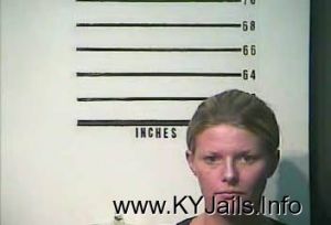 Mary Ann Saylor  Arrest