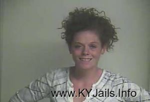 Melissa A Horn  Arrest