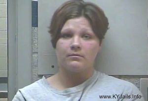 Melissa Dawn Gilbert  Arrest