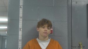 Natasha Williams Arrest Mugshot