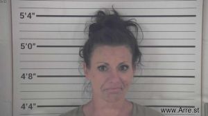 Nicole Engle Arrest Mugshot