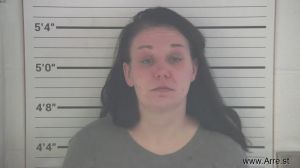 Nicole Hopkins Arrest