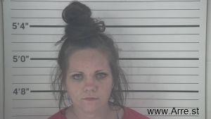 Nicole Wambsganz Arrest Mugshot