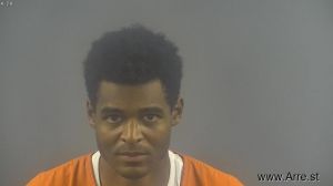 Noah Wilson Arrest Mugshot
