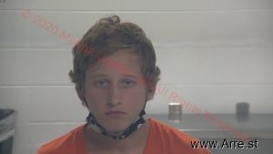 Orberson Austin Arrest Mugshot