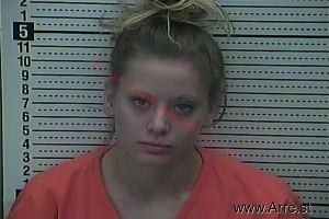 Pamela Johnson Arrest Mugshot