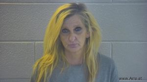 Pamela Jones Arrest Mugshot