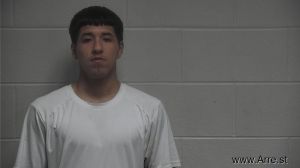 Peter Alexis Ganem Montesino Arrest Mugshot