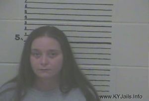 Pamela Desiree Bowman  Arrest Mugshot