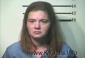 Pamela Sue Smith  Arrest Mugshot