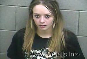 Phelicia Ann Kinslow  Arrest Mugshot