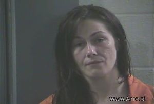 Rebecca Fryer Arrest Mugshot