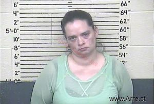 Rebecca Hamm Arrest Mugshot