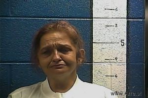 Rhonda Cromer Arrest