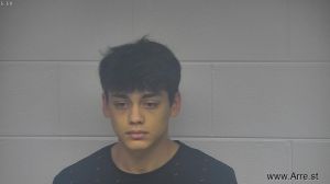 Ricardo  Perez Arrest Mugshot