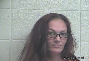 Robyn Turner Arrest Mugshot