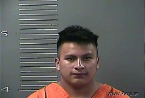 Roini Perez Arrest Mugshot
