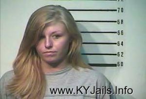 Rachel Lynn Johnston  Arrest