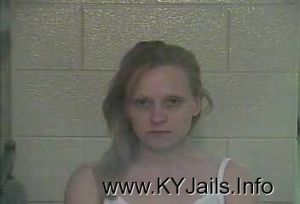 Robin Lee Blevins  Arrest Mugshot