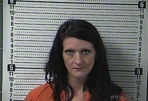 Sandra  Miles Arrest Mugshot