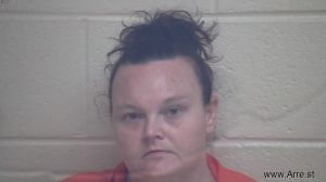 Sara Johnson Arrest Mugshot