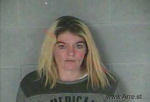 Sarah Farmer Arrest Mugshot