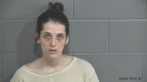 Sarah Harrison Arrest Mugshot