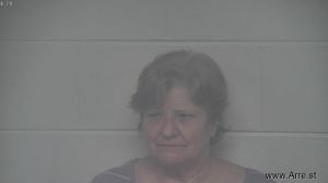 Sherri Hudson Arrest Mugshot