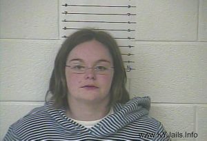 Sally A Hinkle  Arrest Mugshot