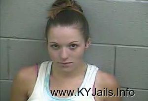 Sarah Joann Bramer  Arrest