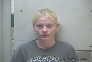 Sheri Ladawn Hartsock  Arrest Mugshot