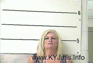 Sherry Lynn Young  Arrest