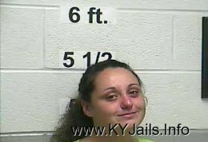 Sondra Tess Wilson  Arrest