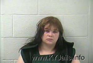 Sonya Lee Clark  Arrest