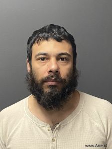 Stevan Sanchez Arrest