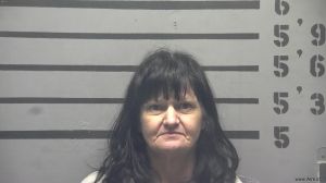 Susan Hudson Arrest Mugshot