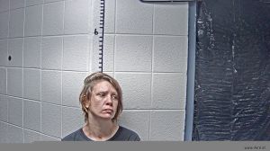 Tabitha Clevinger Arrest Mugshot