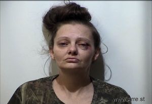 Tammy Love Arrest Mugshot