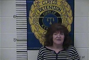 Theresa Bowman Arrest Mugshot